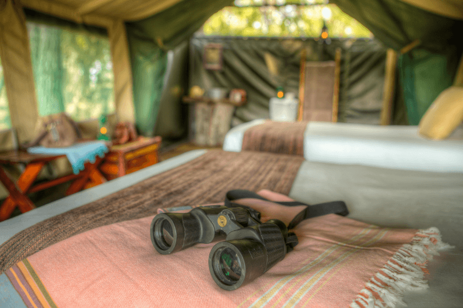 Okavango Family Safari in Botswana