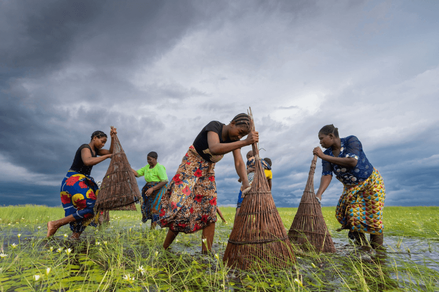 Traditional fishing in Zambia