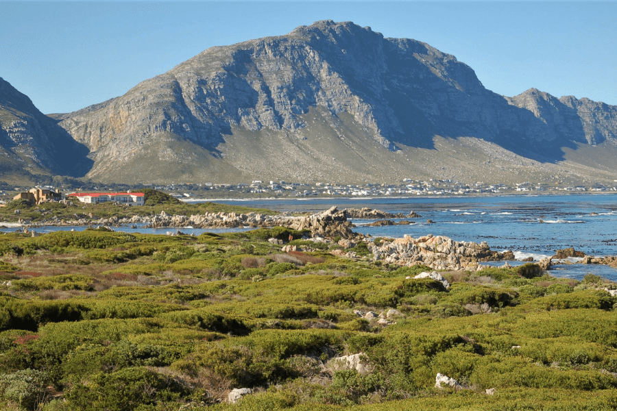 Cape Town & Kruger with Kids