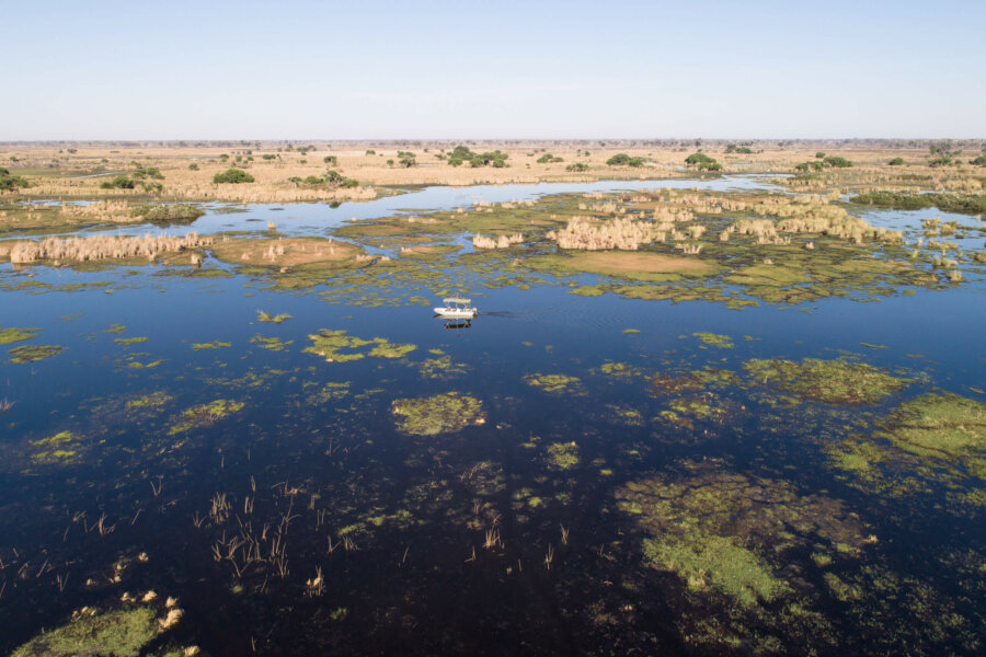 Boat cruise on a Okavango Family Safari