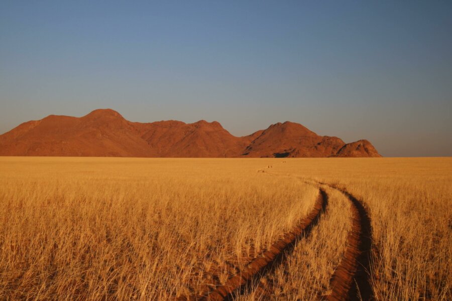 Landscape of Southern Africa Desert