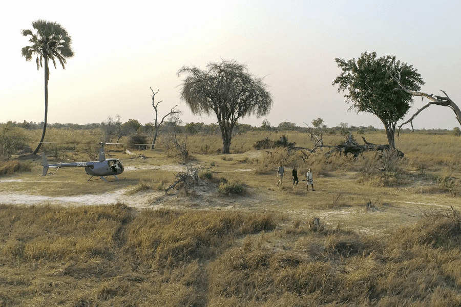 Walking the Okavango Delta
