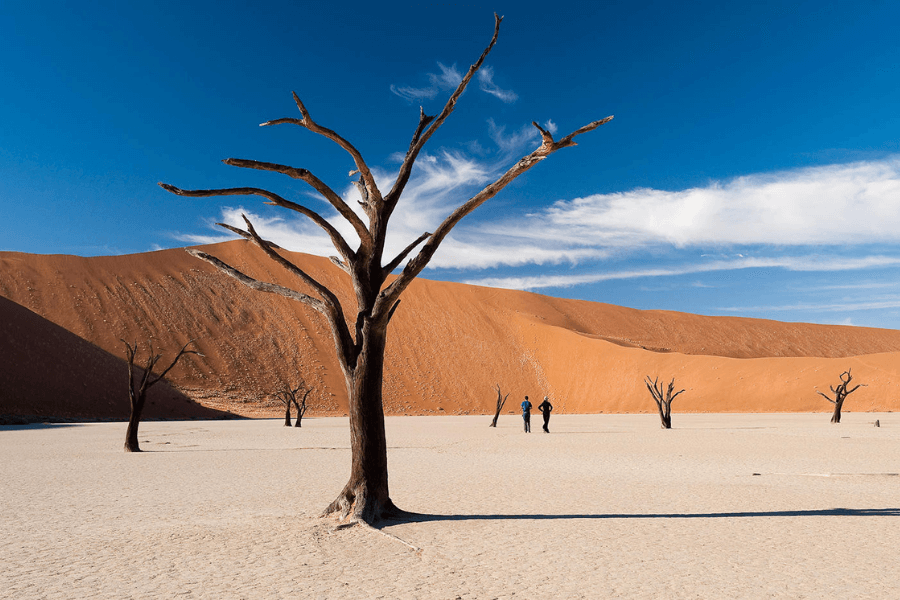 Photographers' first safari choice Dead Vlei