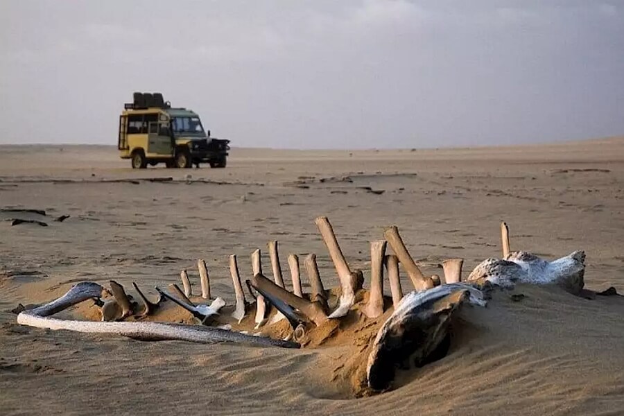 Bucket List Destination Skelelton Coast