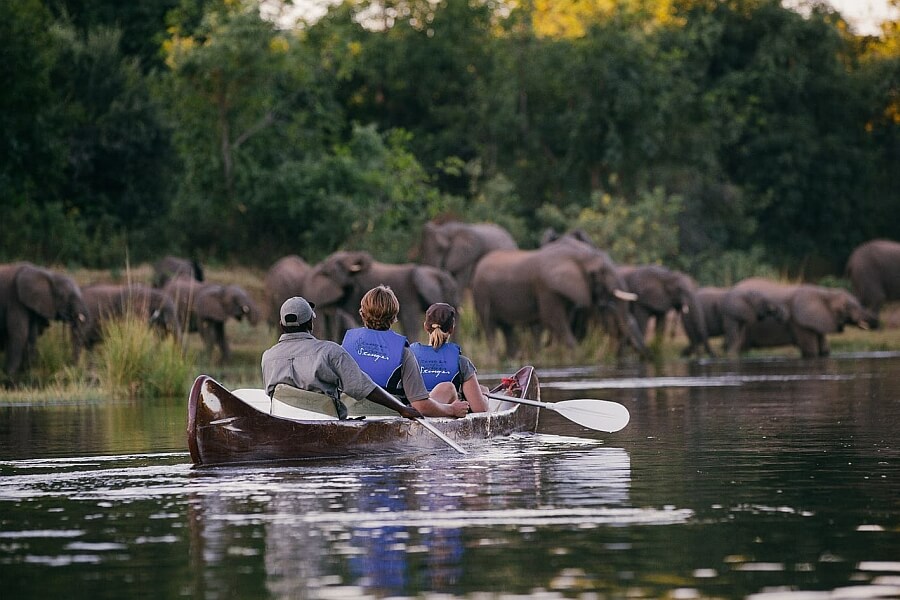 Chongwe Safari in Lower Zambezi