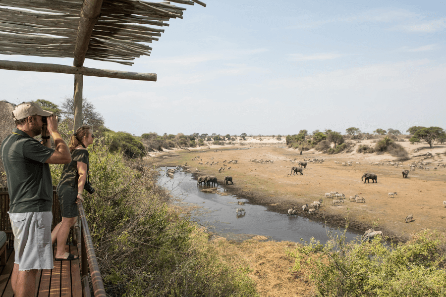 Front row seat for Leroo la Tau guests