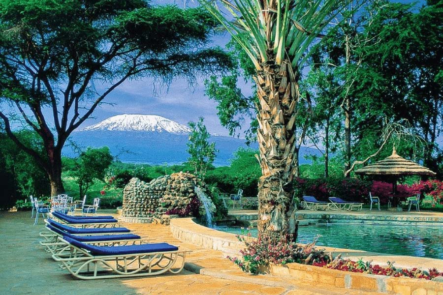 Amboseli National Park in January