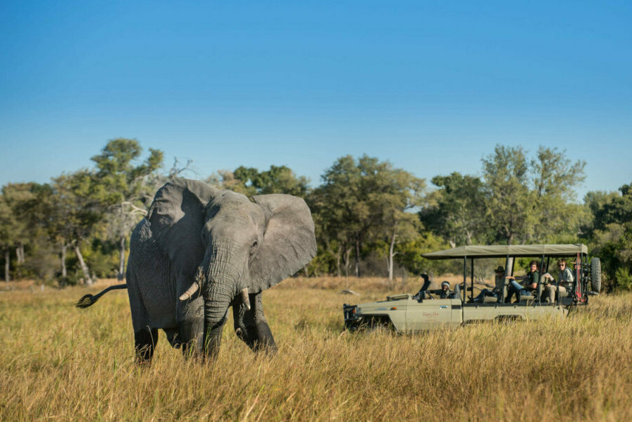 Botswana safari in December