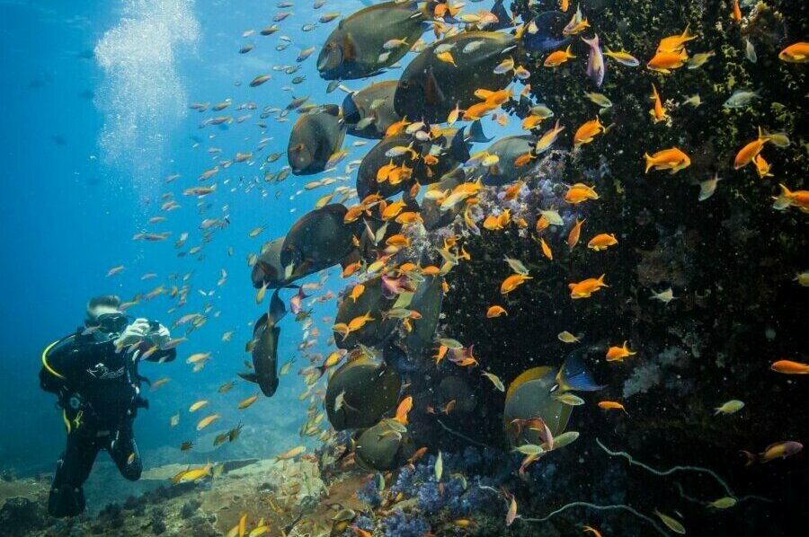 Bazaruto & Quirimbas Islands in August