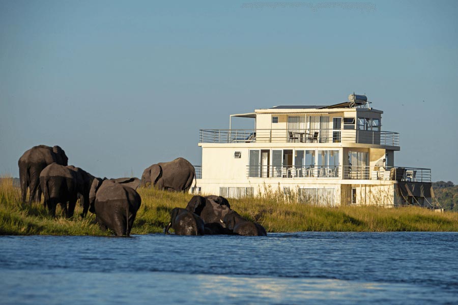 Travel to Chobe and Savuti in March