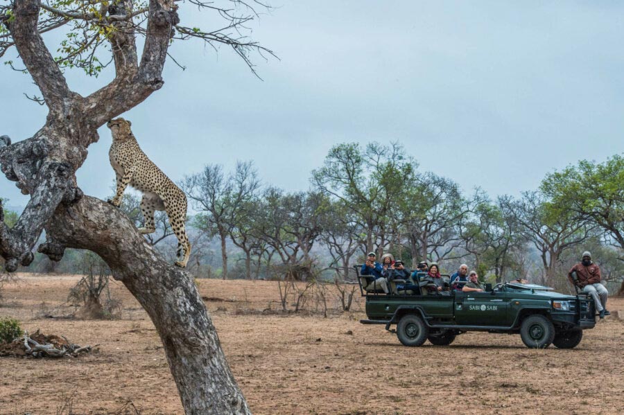 Kruger National Park in June