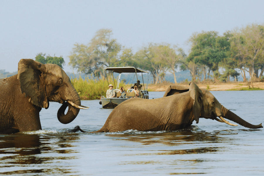 Zambia Safari in August