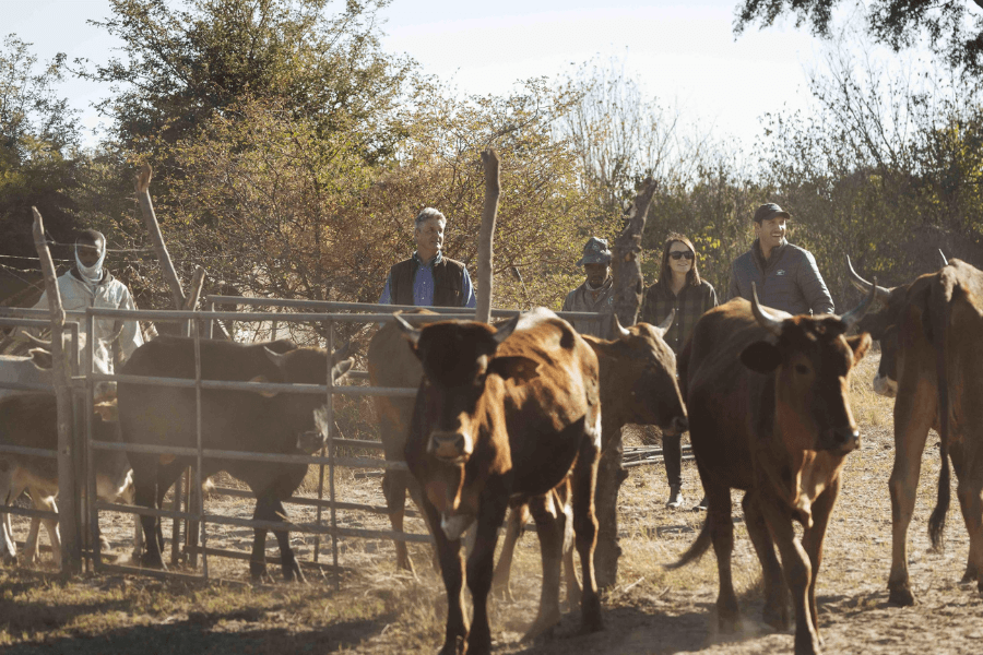 Conservation & Community