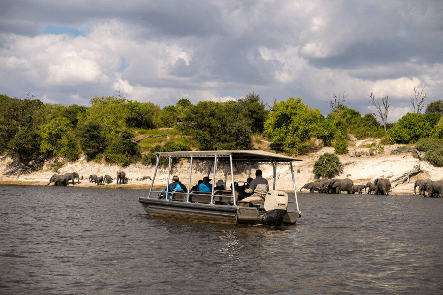 A herd of elephants gathered at the edge of a river, drinking water and interacting, as seen from a river cruise boat