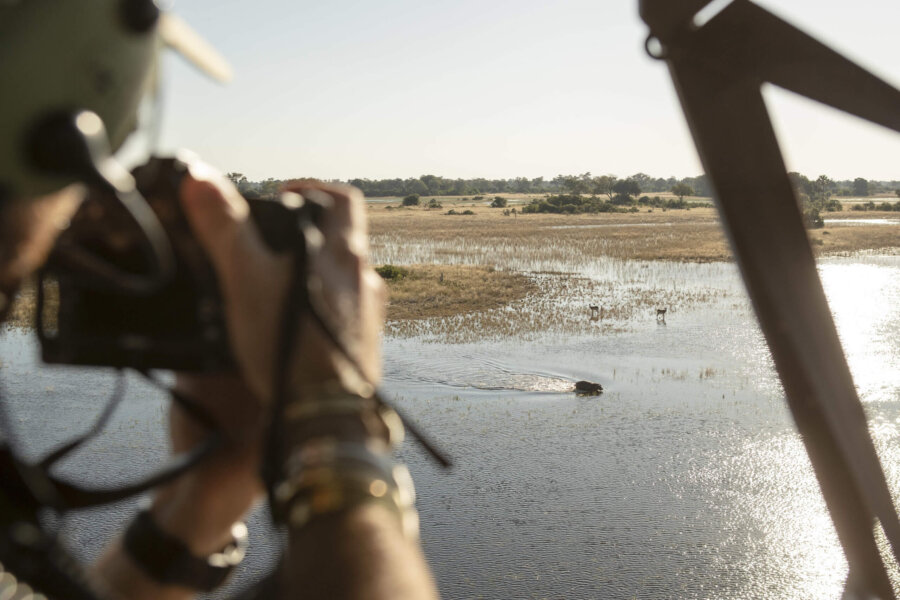 Safari photography from the air