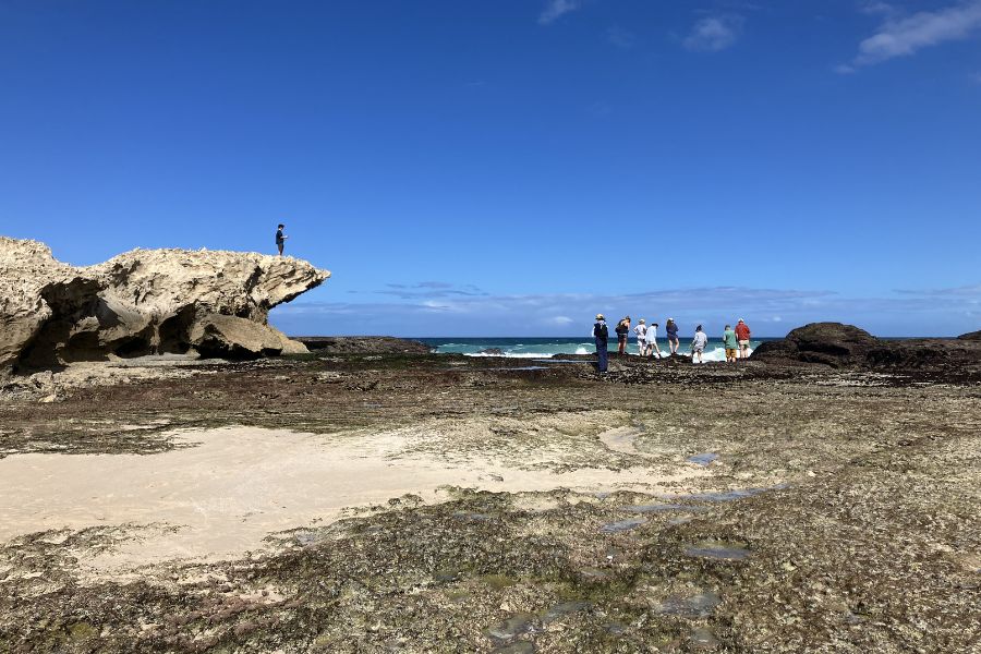 De Hoop guided nature walk