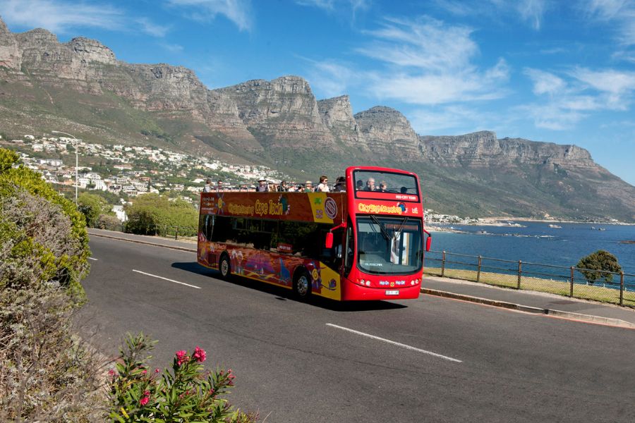 Explore Cape Town on the Red Bus