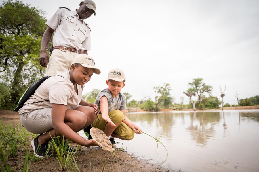 Kids on safari in South Africa