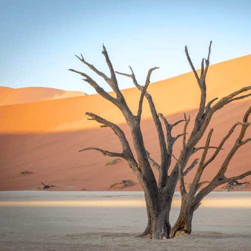Namibia