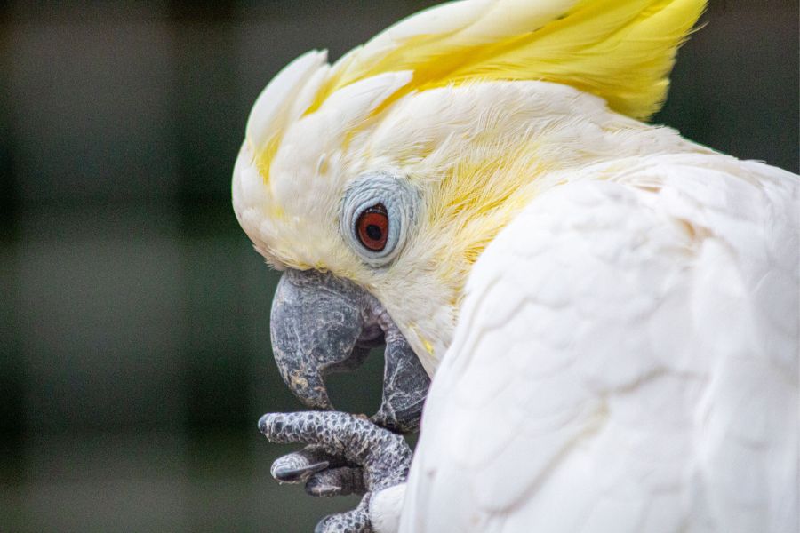 Cape Town family friendly adventure