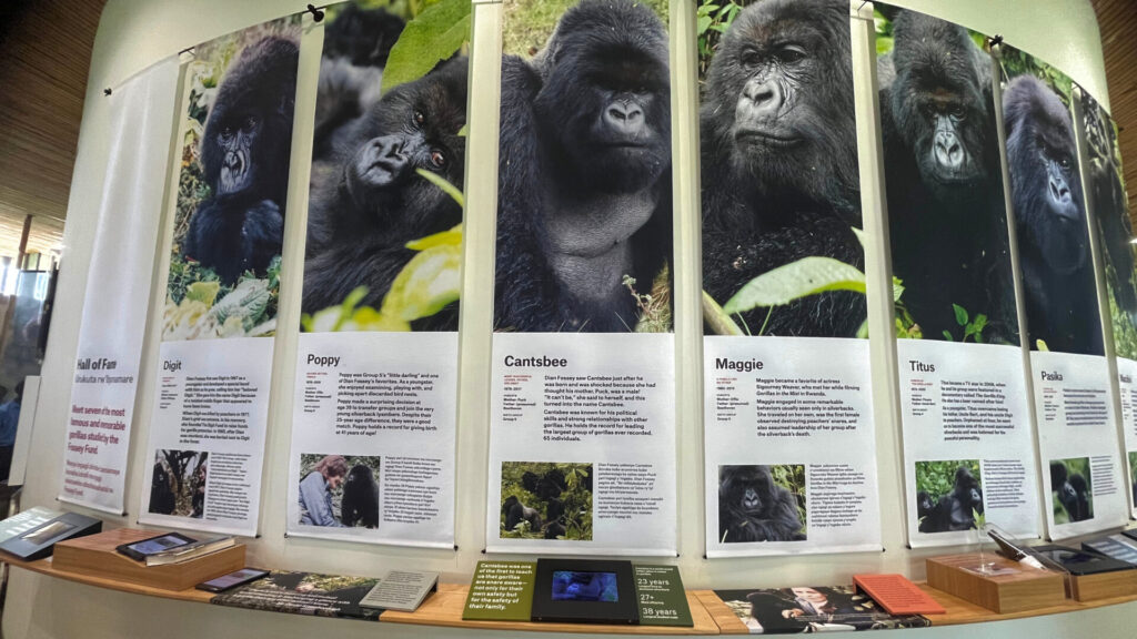 Rwanda - Ellen DeGeneres Campus of the Dian Fossey Gorilla Fund